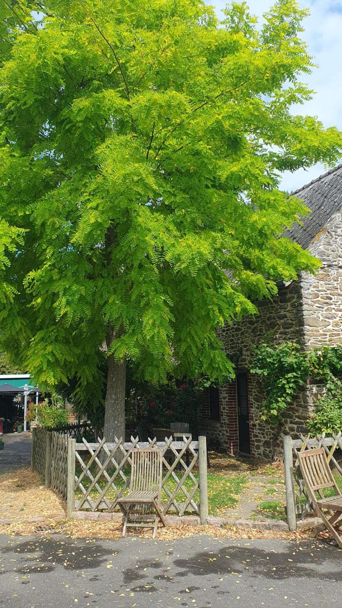 L'Auberge De La Porte 圣茹安·德斯·盖尔 外观 照片