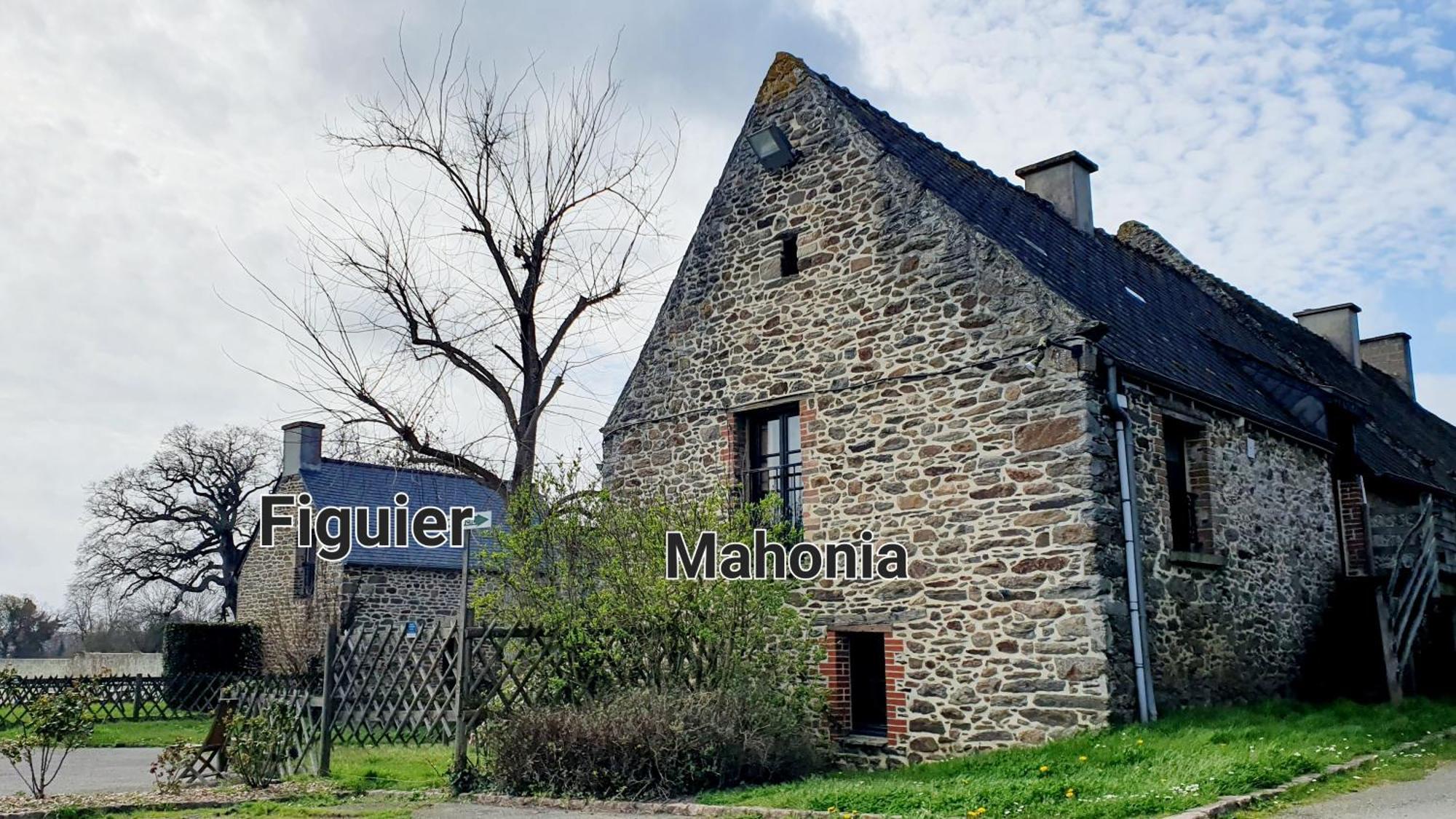 L'Auberge De La Porte 圣茹安·德斯·盖尔 外观 照片